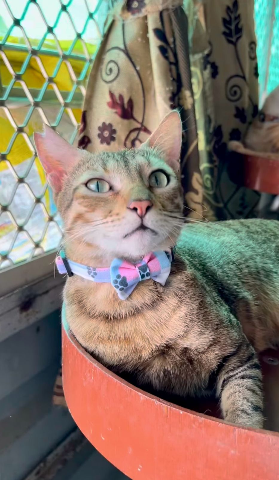 WhatsApp Image 2025-07-04 at 1.11.06 PM (1).jpeg